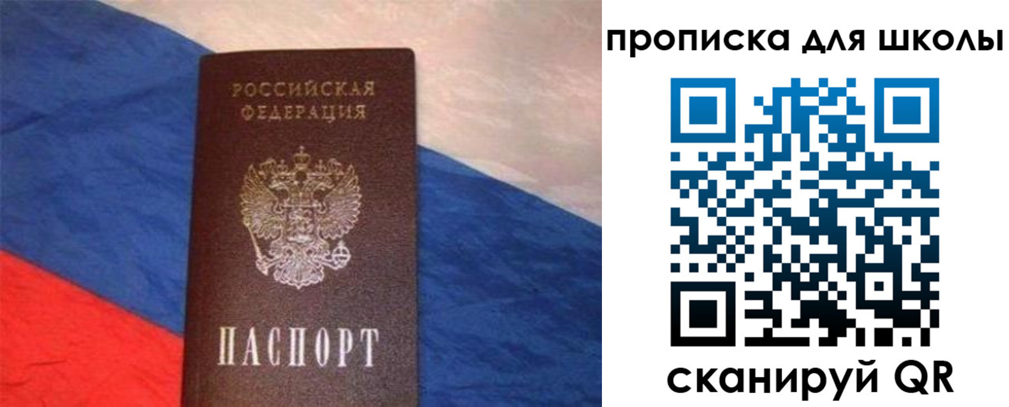 прописка поиск в Зиме